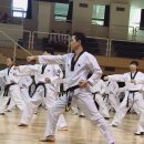 사계절푸른솔 태권도 이미지