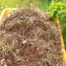 빈하우스 이미지