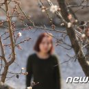 진안읍 1414 이미지