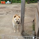 구몰니인사리 이미지