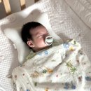 애니멀즈동물병원 | 모로반사 등센서 잡는 머미쿨쿨 라이트 태열있는 아기 추천