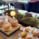 더엠브로시아 이미지