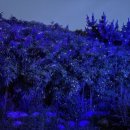 야간도심테마 이미지