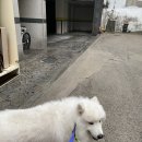 (주)날라주 네이버블로그
