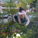 온천2동-28 이미지