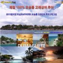 고래관광나이트 이미지