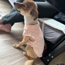 드럭스토어동행약국 이미지