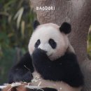 동글동글 이미지