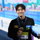세계수영선수권대회, 자유형 400미터 한국 금메달 이미지