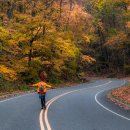 가을여행 이미지