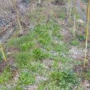 명이농장 이미지