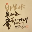 코코스크린골프 이미지