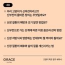 그레이스 고양이 병원 이미지