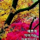 머무르다 이미지