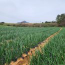 압해공인중개사사무소 이미지