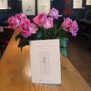 우리 꽃 세밀화 이미지