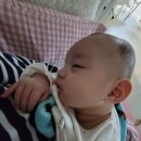(주)호텔롯데 롯데호텔울산 이미지