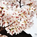 창원대로 이미지