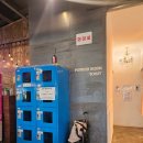 서귀포산업과학고등학교 | 제주도 뚜벅이 여행 2박3일 추천코스 [윈드1947 카트, 돌다메, 그라벨호텔제주]