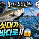농어 찌낚시 이미지