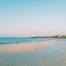 그린카하우스 이미지