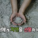 카페샌디에고