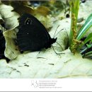 금산-13 이미지