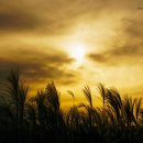 귀래생태공원 이미지