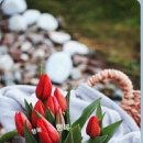 행복한날 이미지