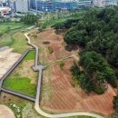 오늘은 꽃단장 이미지