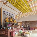 남파랑길89코스(완도,해남구간) 이미지