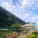 서울시청 이미지