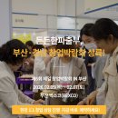 제일파출부 네이버블로그