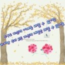 선물같은오늘 - 청주시 서원구 | 선물같은오늘
