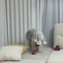 (주)위메드 이미지