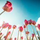 [신중년대학] 만남이 즐거운 신중년 이미지메이킹 | 청년니트(NEET), 세상에 도전할 용기를 얻다...청년도전지원사업 우수사례