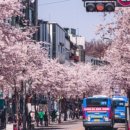 송파나루(놀이마당) 화장실 이미지