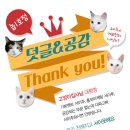 무봤나촌닭무봤나불쭈꾸미