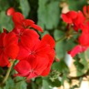 색연필드로잉 이미지