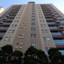 강남-118 이미지