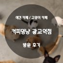 커피멍냥 광교역점 네이버블로그