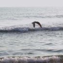 김석옥 카카오 검색결과