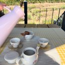 범바구집 | 경남 하동 여행 녹차밭 카페 도심다원 예약없이 다녀온 후기