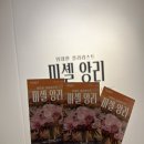 위대한백수