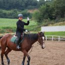 티엠케이 이미지