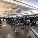 대영 헬스 이미지