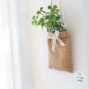 바다품은집 이미지