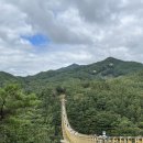 무병장수 둘레길 | 거창 여행 수승대 출렁다리, 수승대 무병장수길 후기, 거창 가족여행지 추천