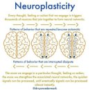 Neuroplasticity(신경가소성)-특정한 생각,느낌,감정,행동을 반복하면 신경네트워크가 더 강해지고... 이미지