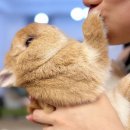 킥어스짐 | 26 Feb | 두쫀쿠,엑디즈,운동 그리고.. 대전